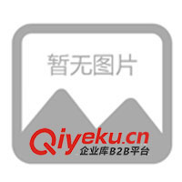 鹤岗市全新本田蓝宝石250 长期供应联系13561916941